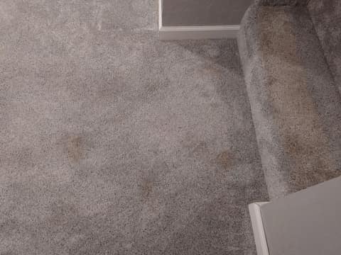 A close view of carpet spots before treatment