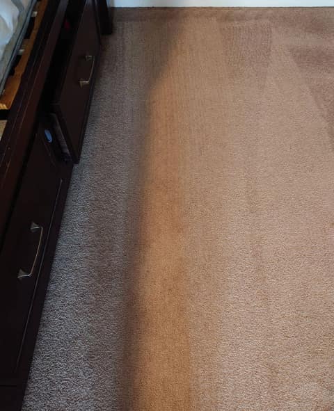 A carpet mid-clean, showing the line between the cleaned and uncleaned sections