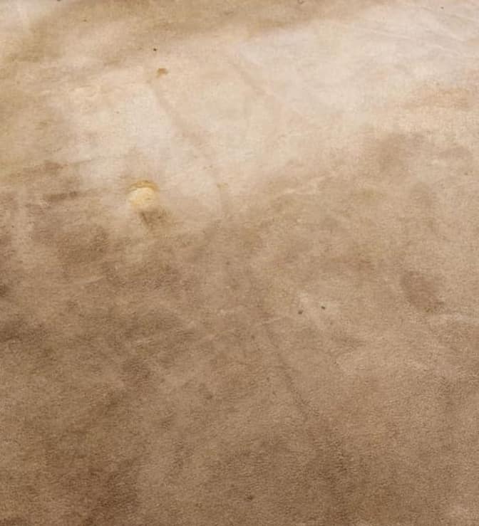 Before: a soiled, matted living-room carpet